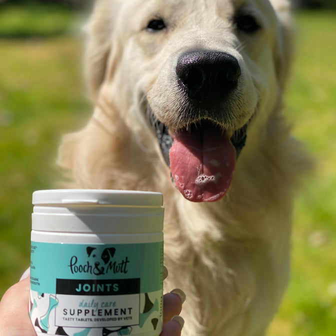 Joint Care Supplement For Dogs