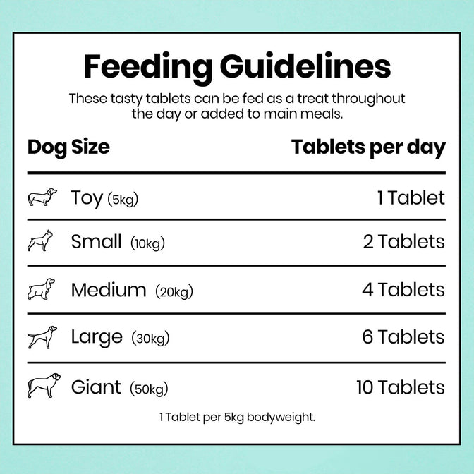 Joint Care Supplement For Dogs