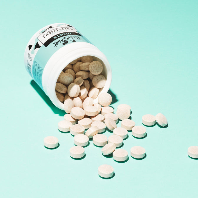 Joint Care Supplement For Dogs
