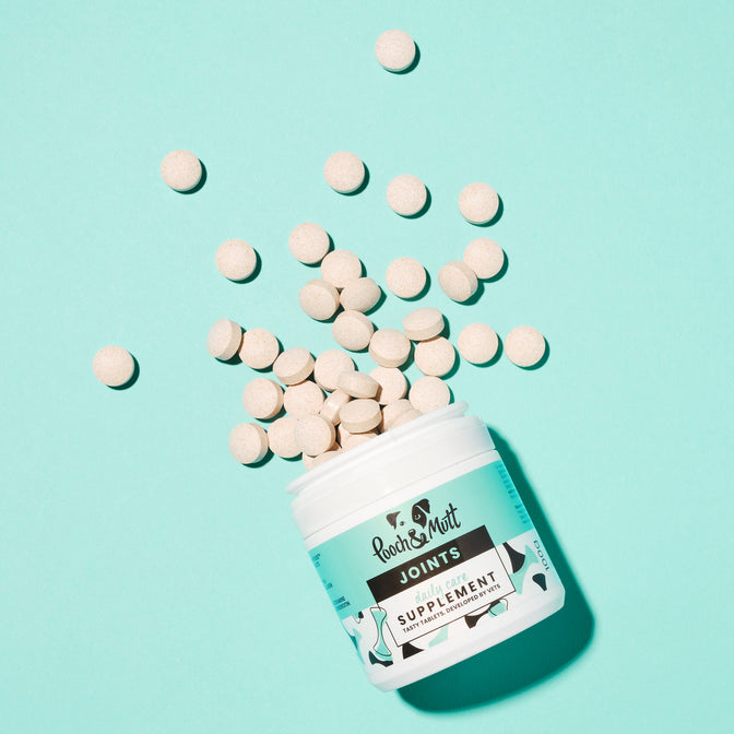 Joint Care Supplement For Dogs