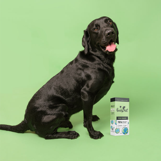 Planet Friendly Dog Poo Bags