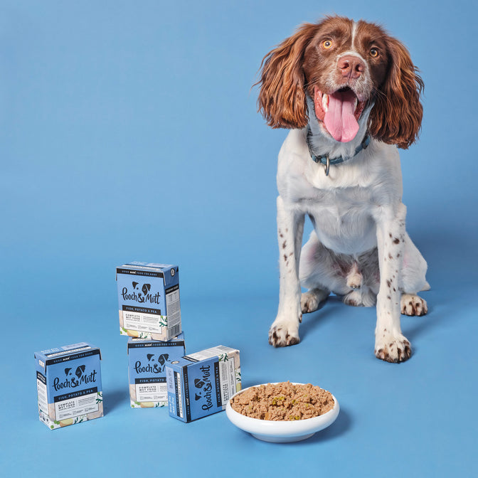 Fish, Potato & Pea Wet Food