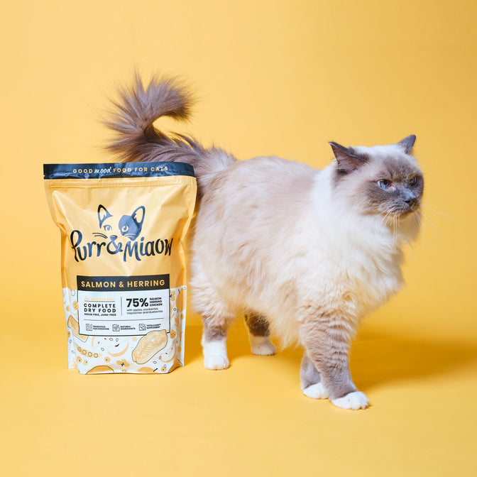 Salmon & Herring Dry Cat Food
