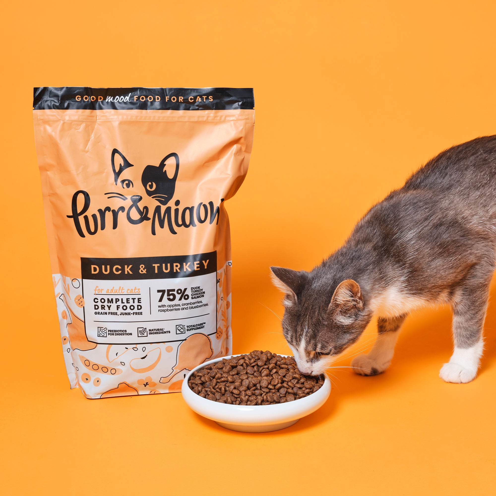 complete dry cat food