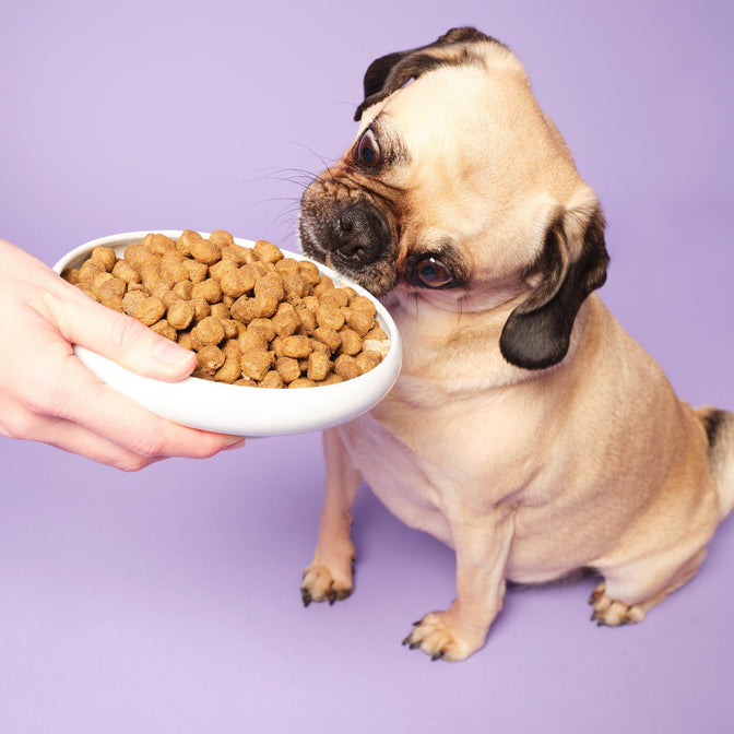 Slim & Slender Dry Food
