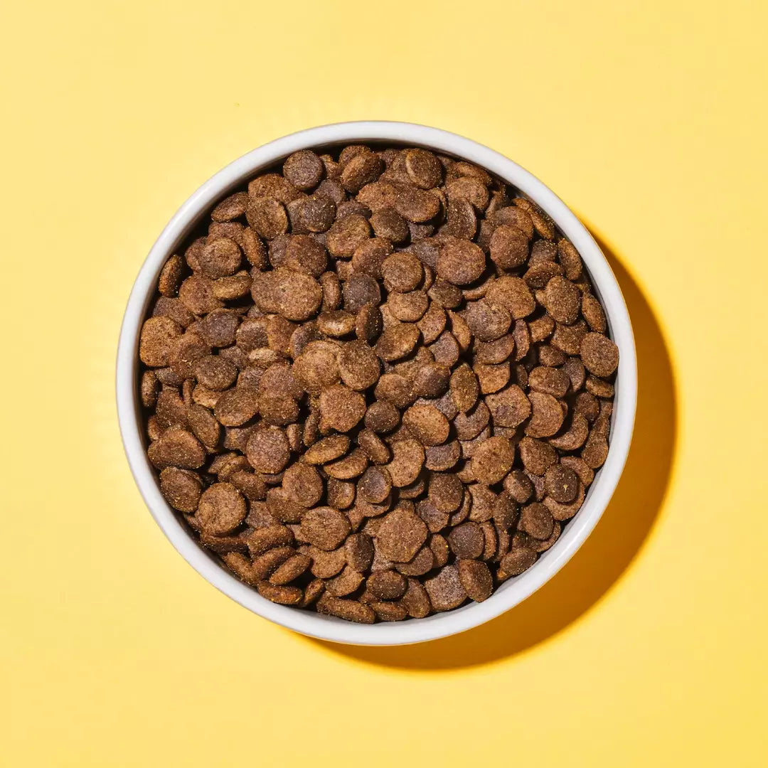Hypoallergenic dog food store ingredients