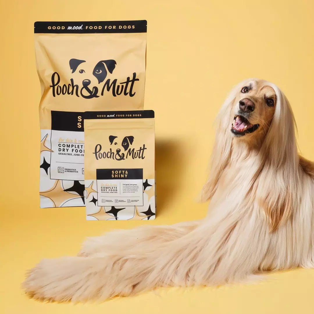 Pooch and mutt sales small dog food