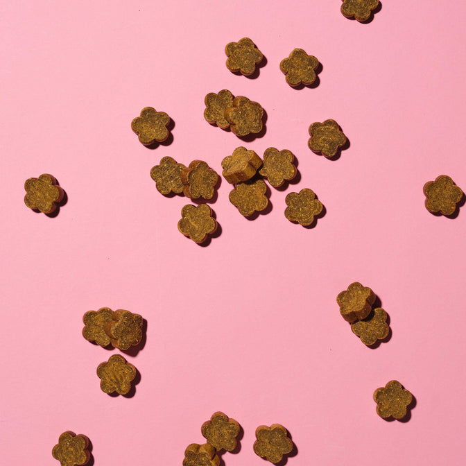 Calming Probiotic Meaty Treats