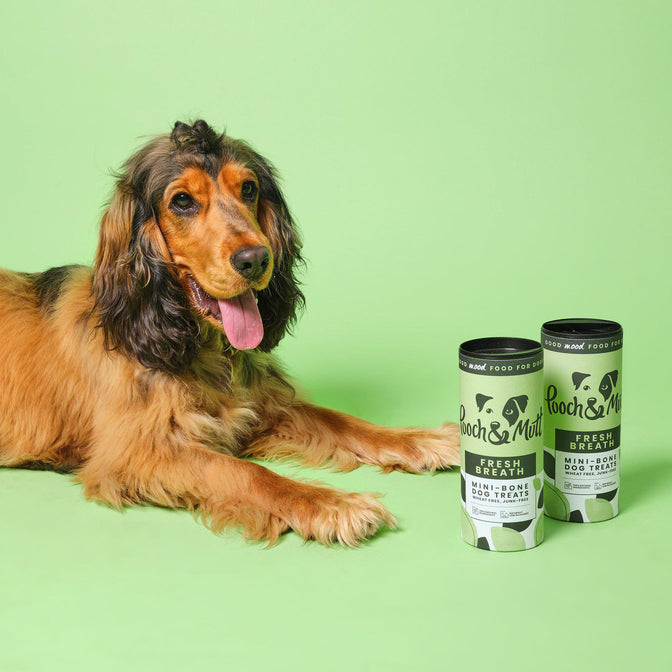 Fresh Breath Mini-Bone Treats