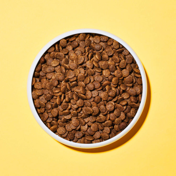 Salmon & Herring Dry Cat Food