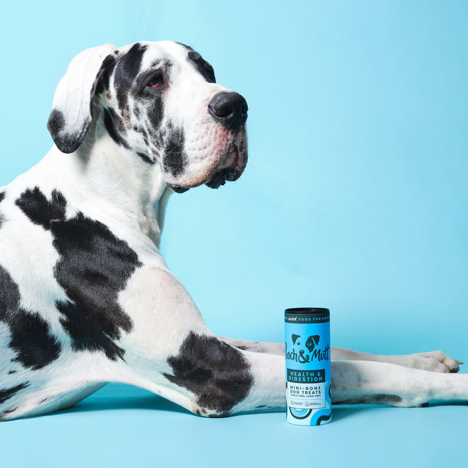 Health & Digestion Mini-Bone Treats
