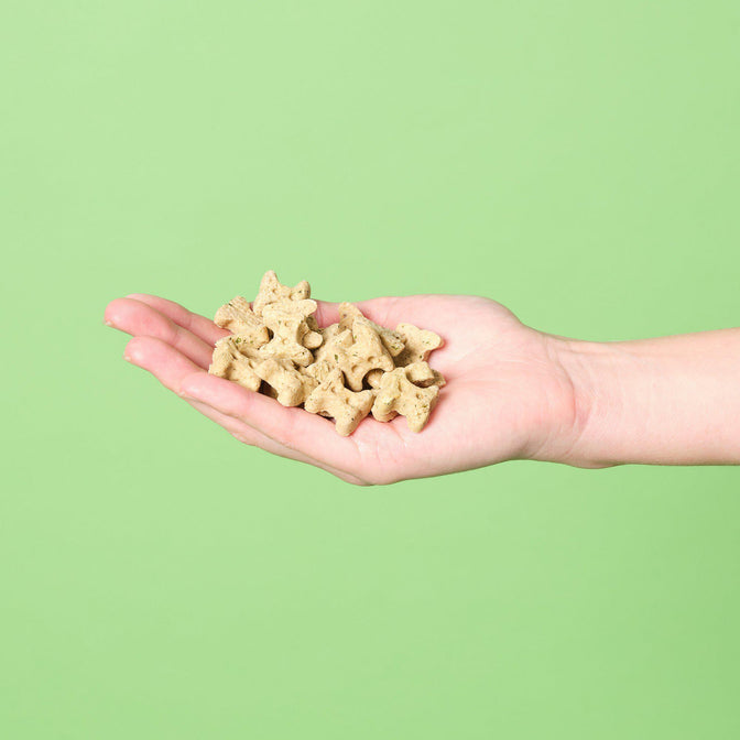 Mixed Mini-Bone Treat Pack