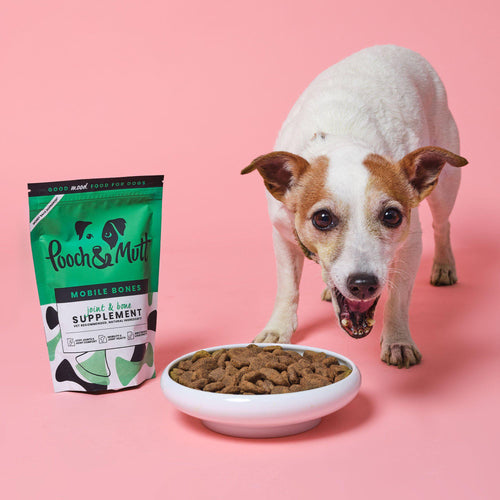 Pooch and hot sale mutt joint care