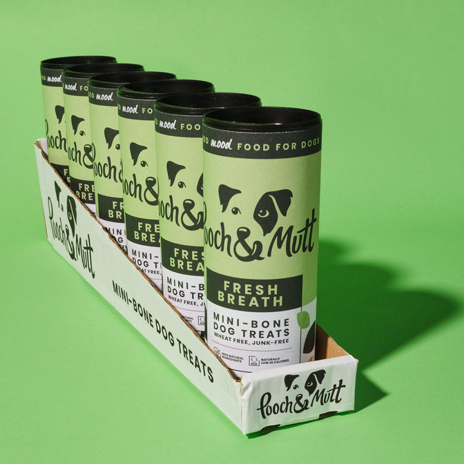 Fresh Breath Mini-Bone Treats