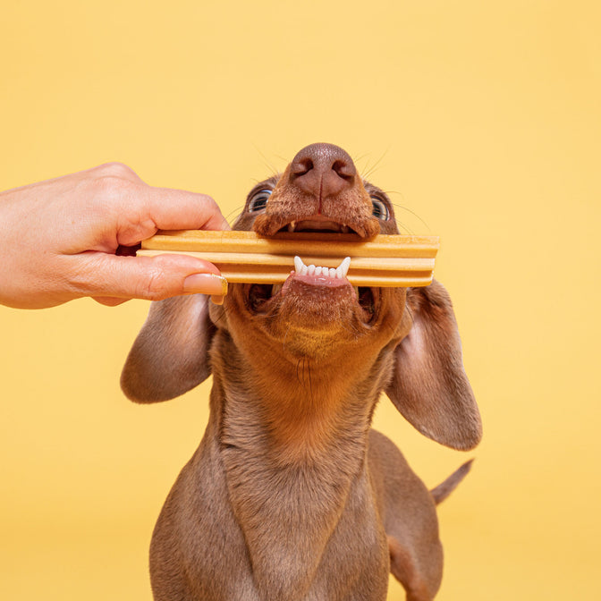 Peanut Butter Dental Sticks For Dogs