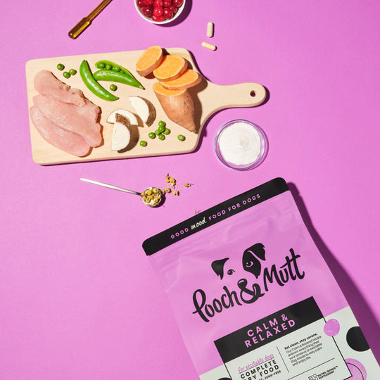 Calming Dog Food for Anxious or Hyper Dogs Pooch & Mutt