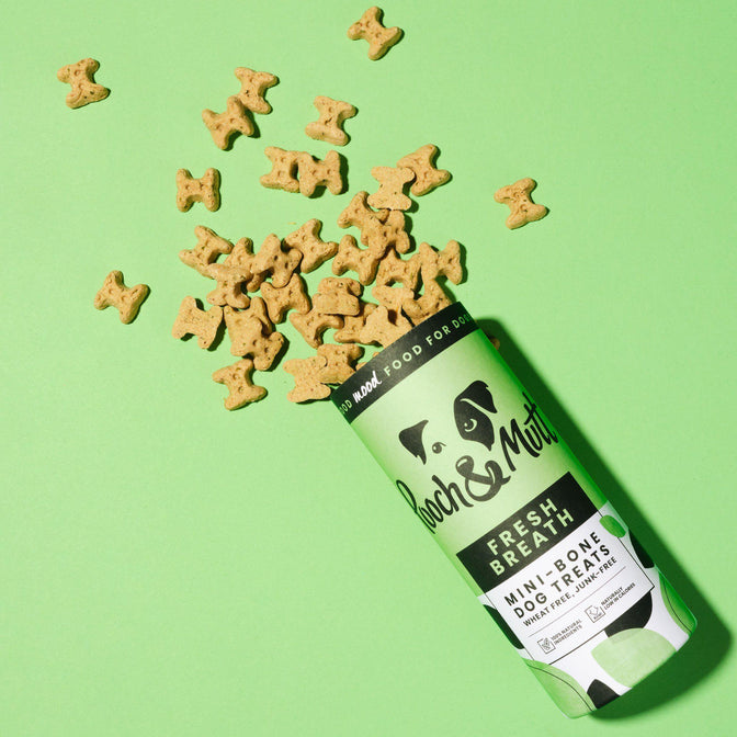Fresh Breath Mini-Bone Treats