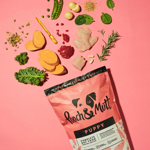 Puppy Complete Dry Superfood Puppy Complete Dry Superfood