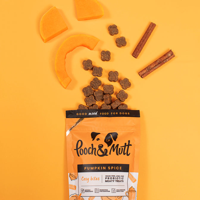 Pumpkin Spice Probiotic Meaty Treats