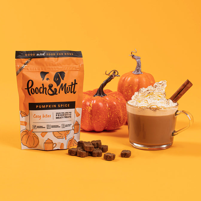 Pumpkin Spice Probiotic Meaty Treats