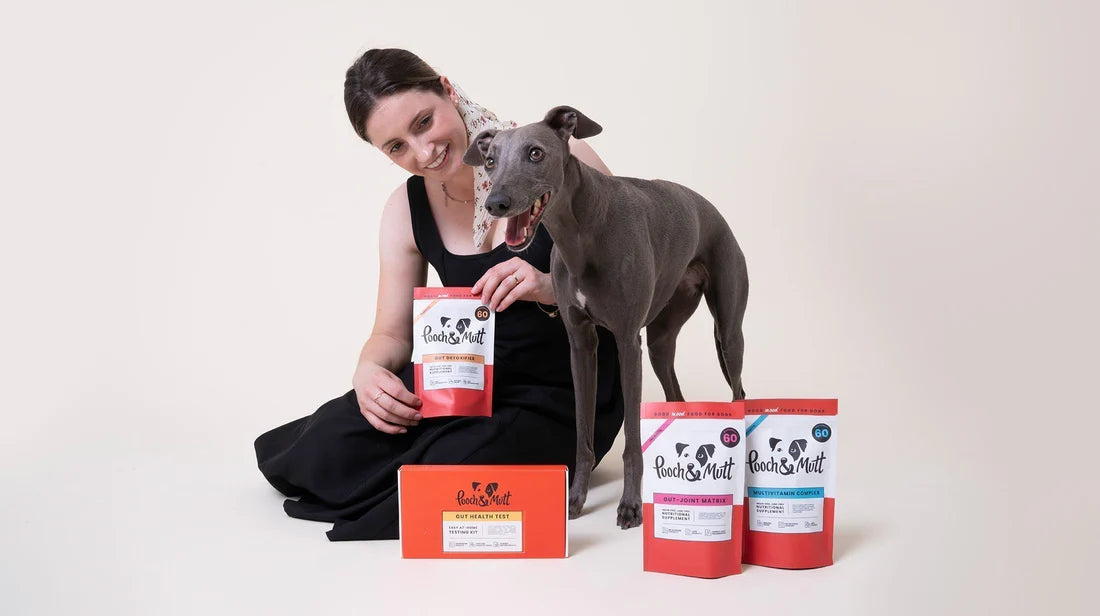 Dog owners: What you need to know about your dog’s gut microbiome