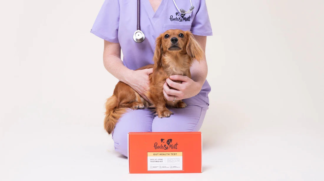 How do you know your dog has an unbalanced microbiome?