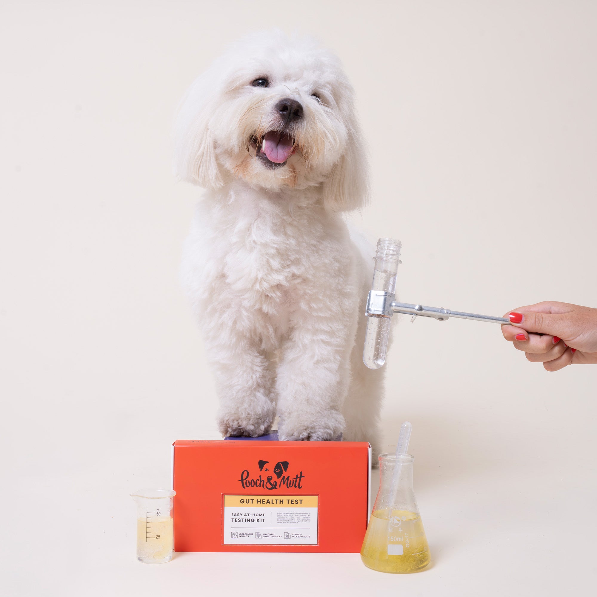 Pooch & Mutt Gut Health Test Kit