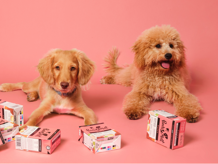 Puppy nutrition