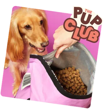 Puppy